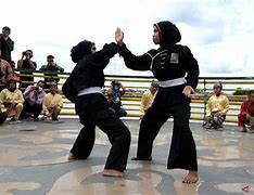 Raja Silat Indonesia