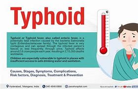 Typhoid Artinya